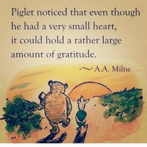 🍄  VINTAGE LEVI’S  Mom Hi-Rise Loose PaperBag Fit DENIM JEANS SZ